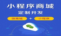 微信小程序开发、商城小程序开发功能-锐智互动M6线上平台,M6（中国）