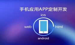 APP开发市场上常见问题分析-北京M6线上平台,M6（中国）公司